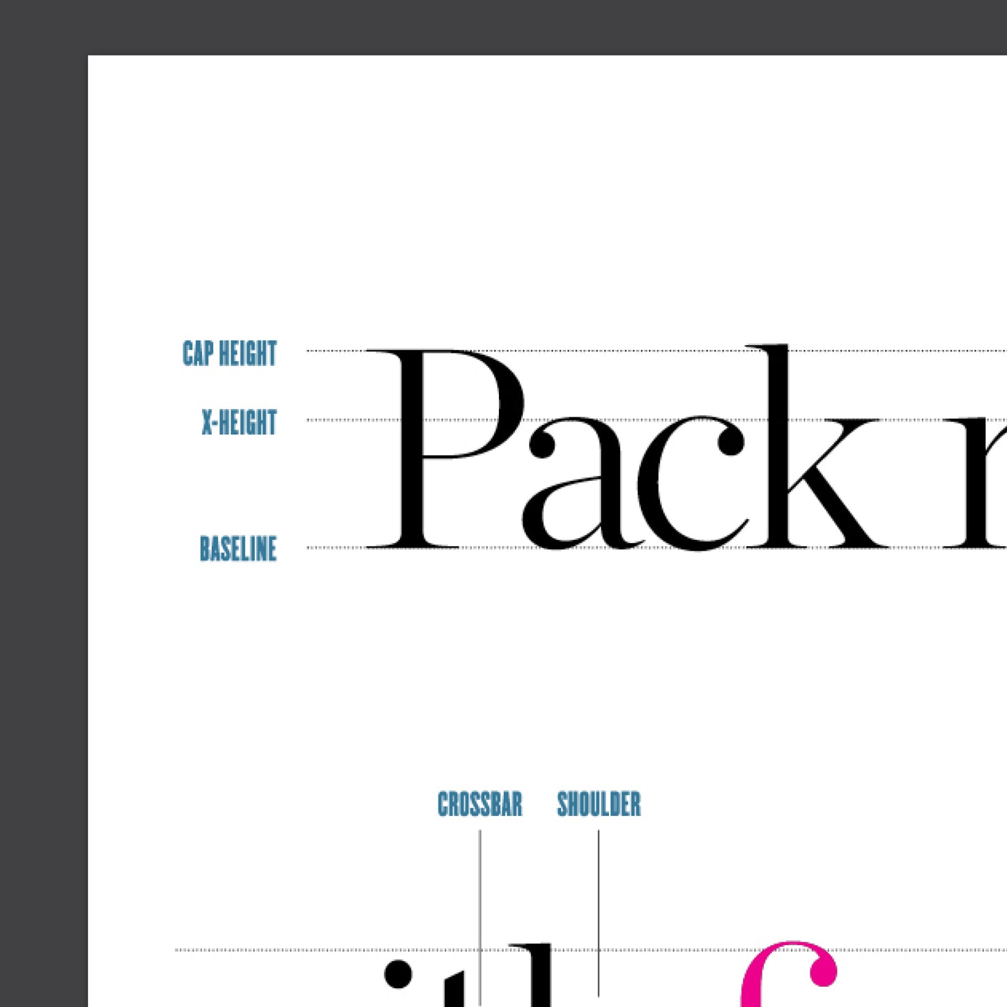 Typography Anatomy Guide