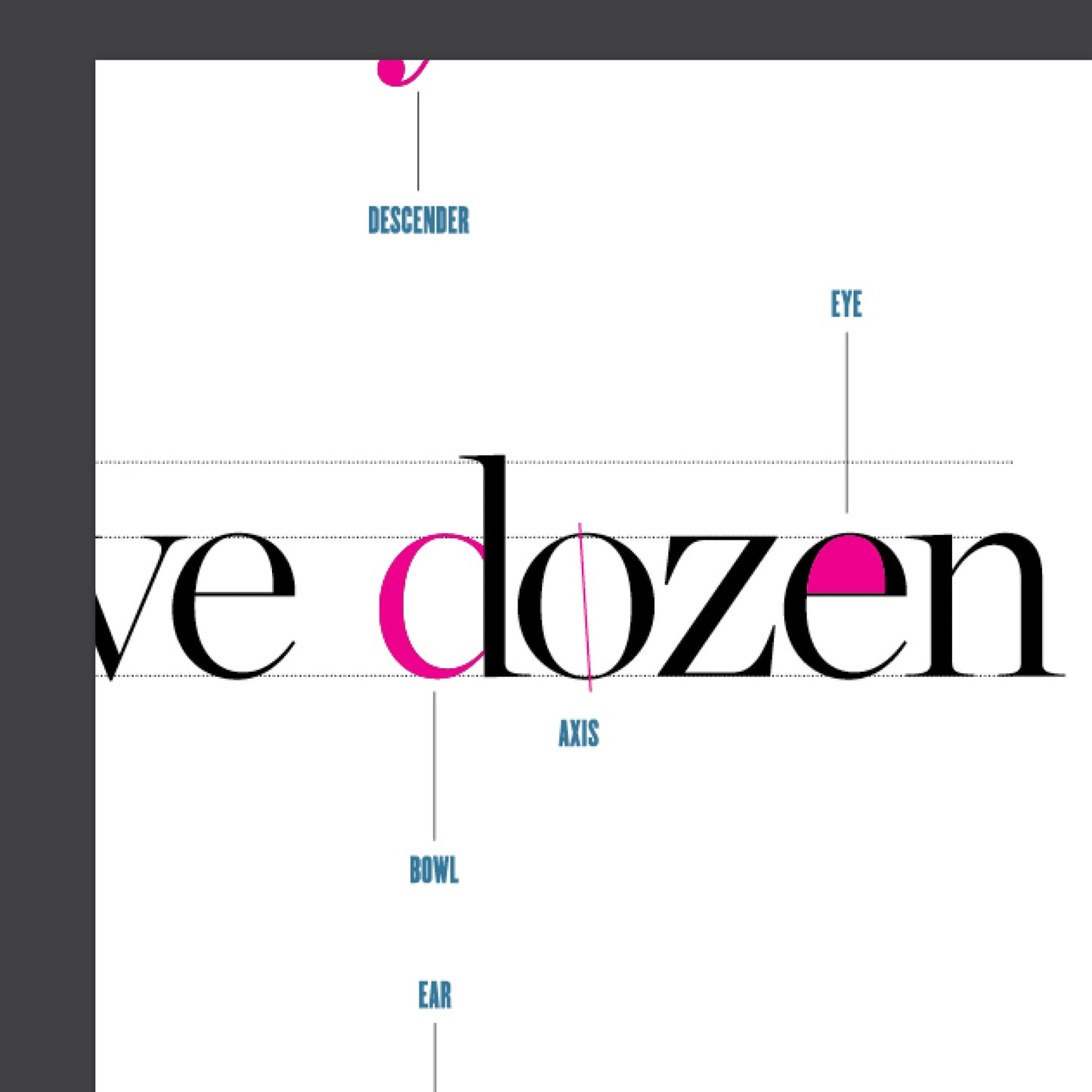 Typography Anatomy Guide