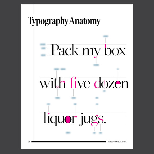 Typography Anatomy Guide